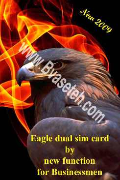 eagle daulr.jpg eagle daulr.jpg